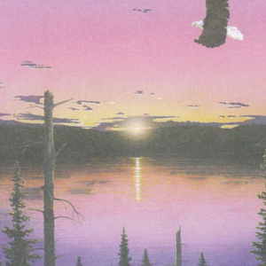 4 Eagle Spirit no text copy 4 Eagle Spirit no text copy